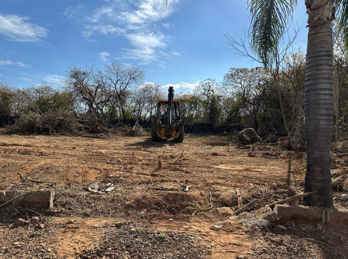 Terreno Palma Canario #98-7