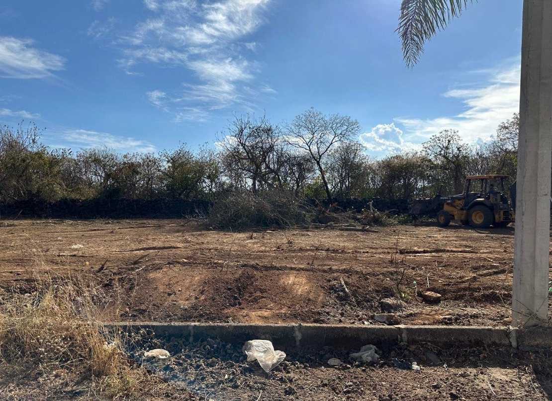 Terreno Palma Canario #98-7